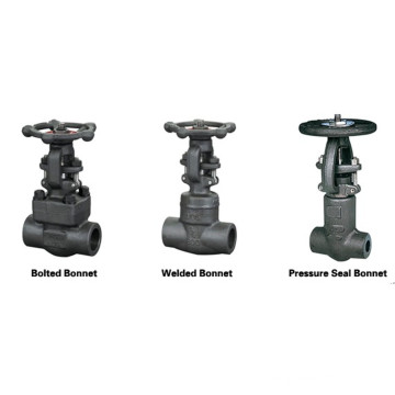 GB Standard 800 Lbs A105 Forged Steel Gate Valve